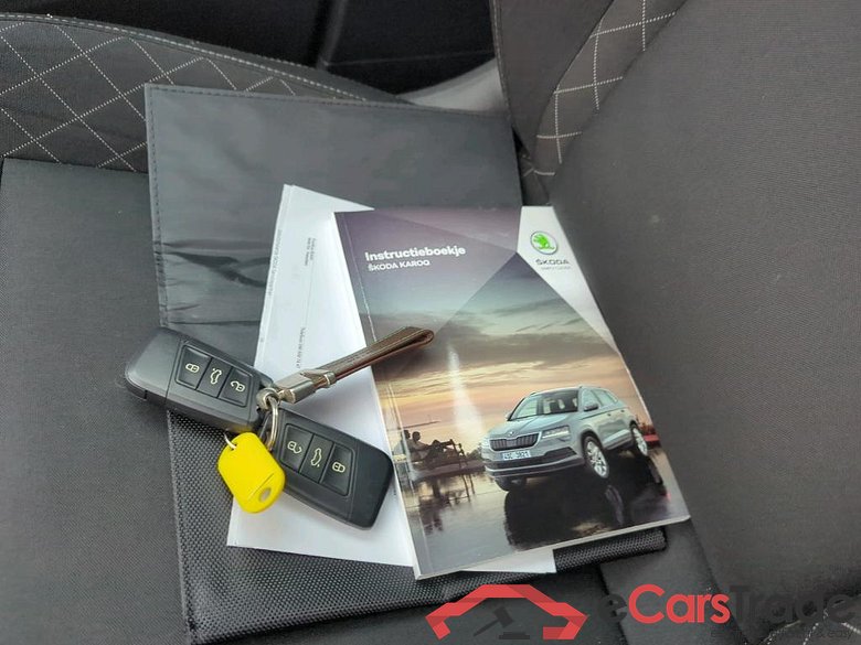 SKODA Karoq 110 kW #6