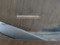preview Volkswagen Polo #1