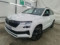 preview Skoda Karoq #0