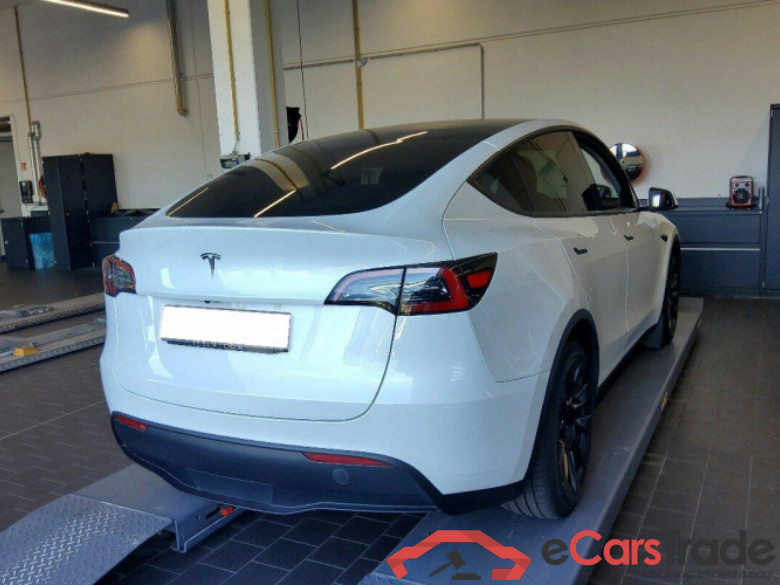 TESLA Model Y  #5