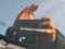 preview Volkswagen Polo #1