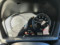 preview BMW X2 #3
